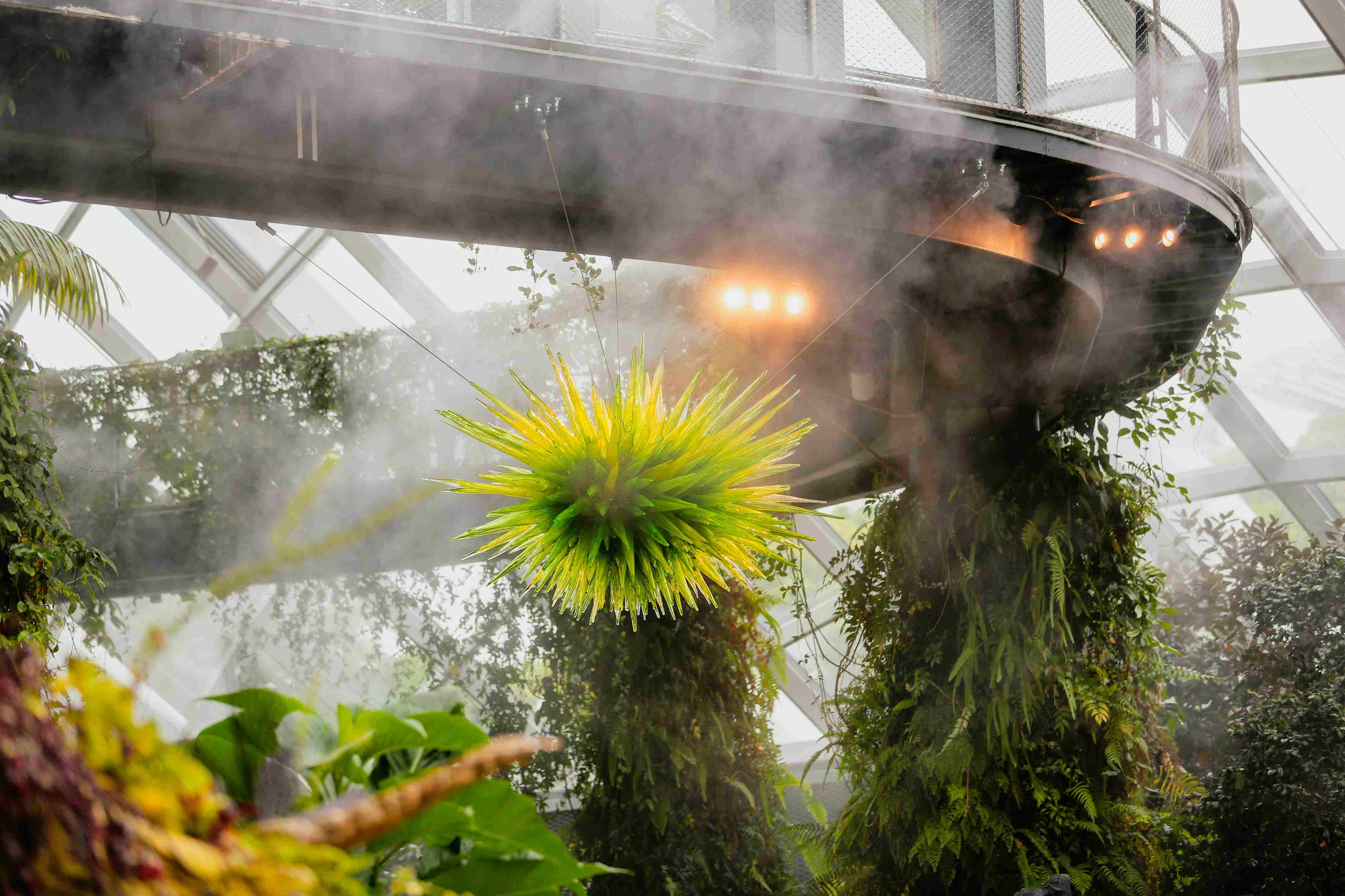 Cloud Forest